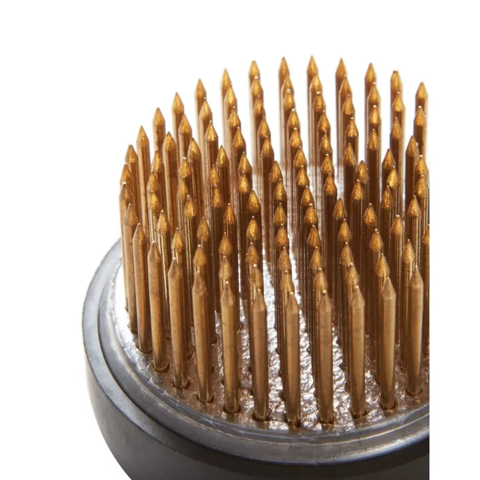 blumensteckigel_fiore_o_5_cm_2-2.webp Hot Jotex Blumensteckigel Fiore, O 5 Cm