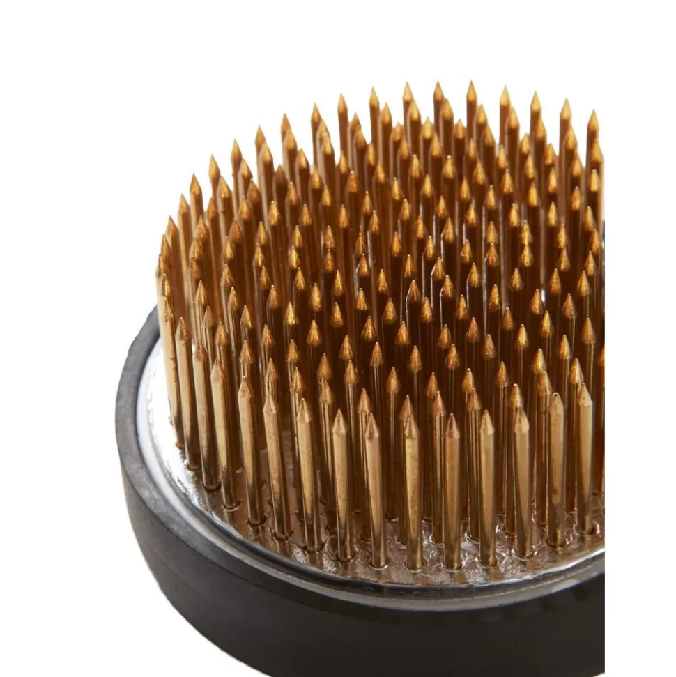 blumensteckigel_fiore_o_6_cm_2-2.webp Hot Jotex Blumensteckigel Fiore, O 6 Cm