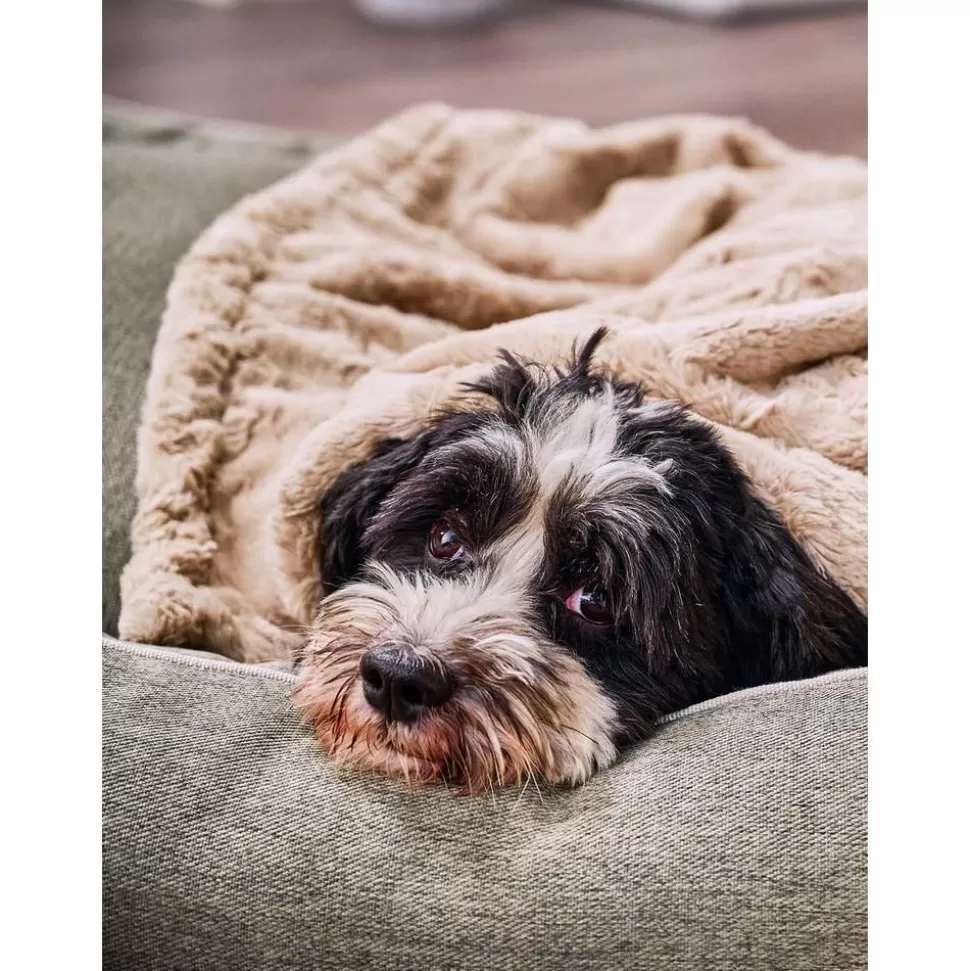 haustiersteppdecke_cozy_verschiedene_grosen_4-5.webp New Laboni Haustier-Steppdecke Cozy, Verschiedene Grosen