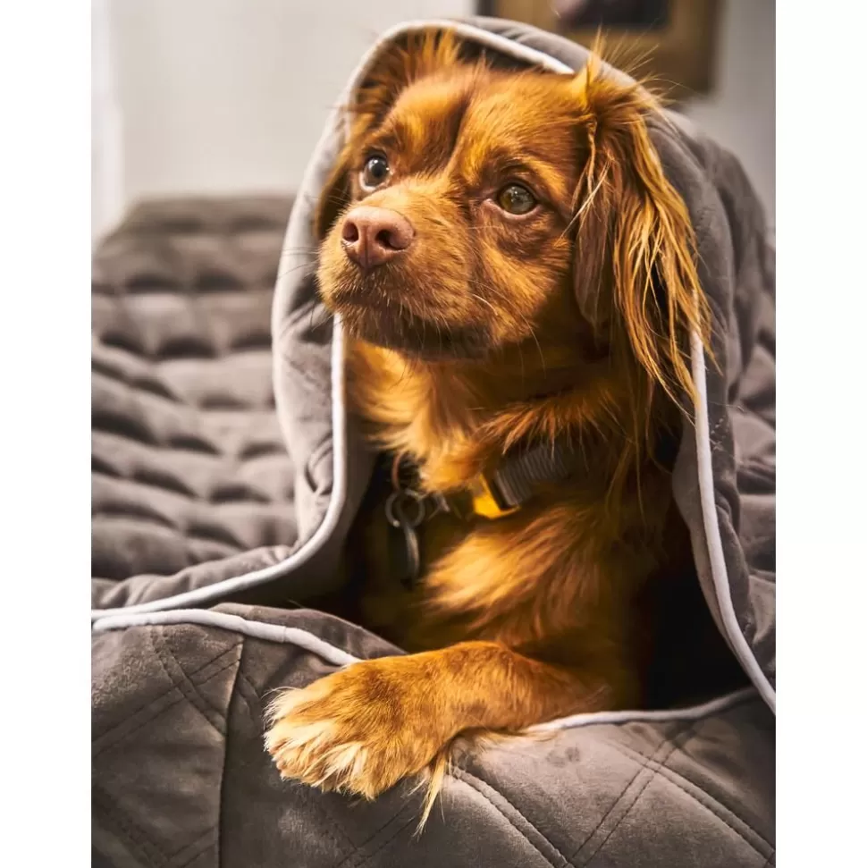 haustiersteppdecke_oxford_verschiedene_grosen_3-5.webp Shop Laboni Haustier-Steppdecke Oxford, Verschiedene Grosen