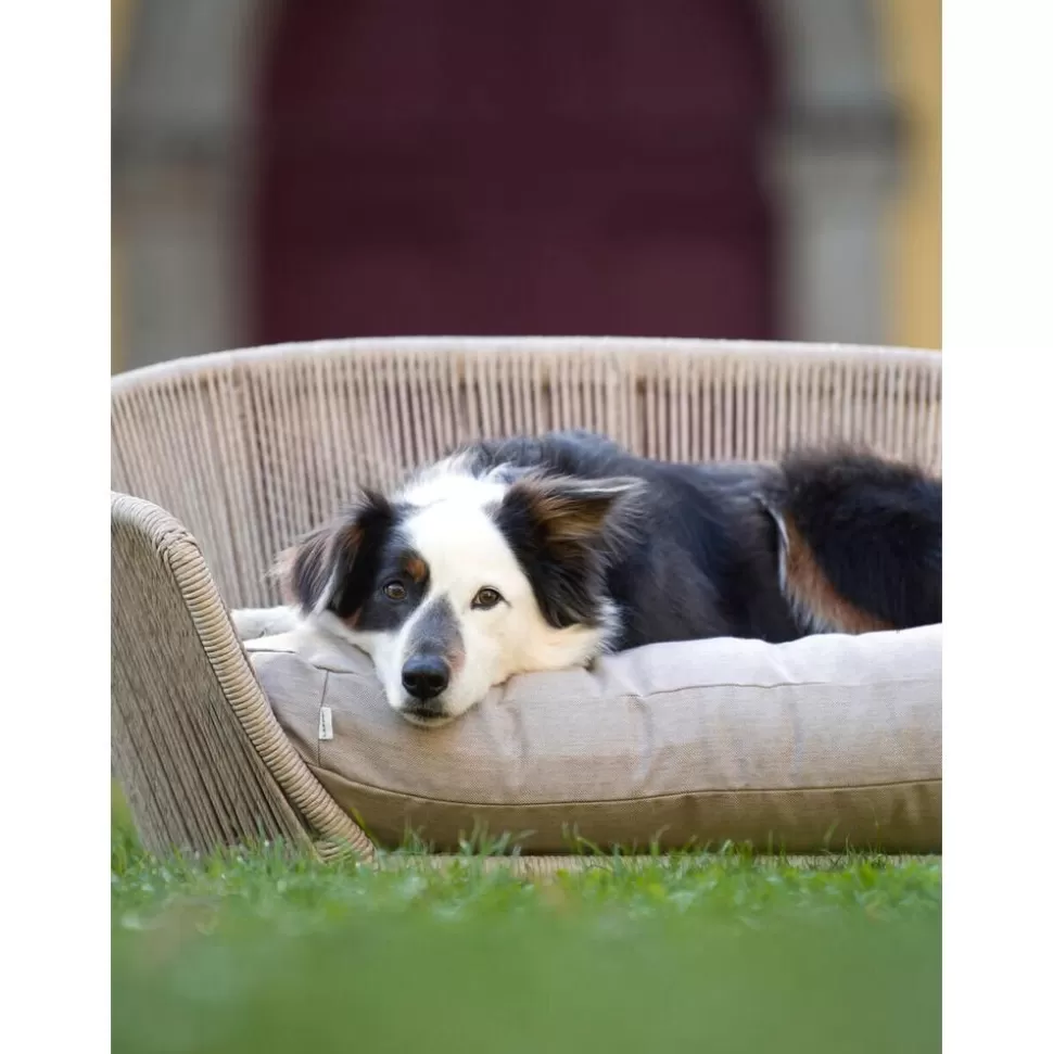 in__outdoorhundebett_vogue_3-5.webp Cheap Laboni In- & Outdoor-Hundebett Vogue