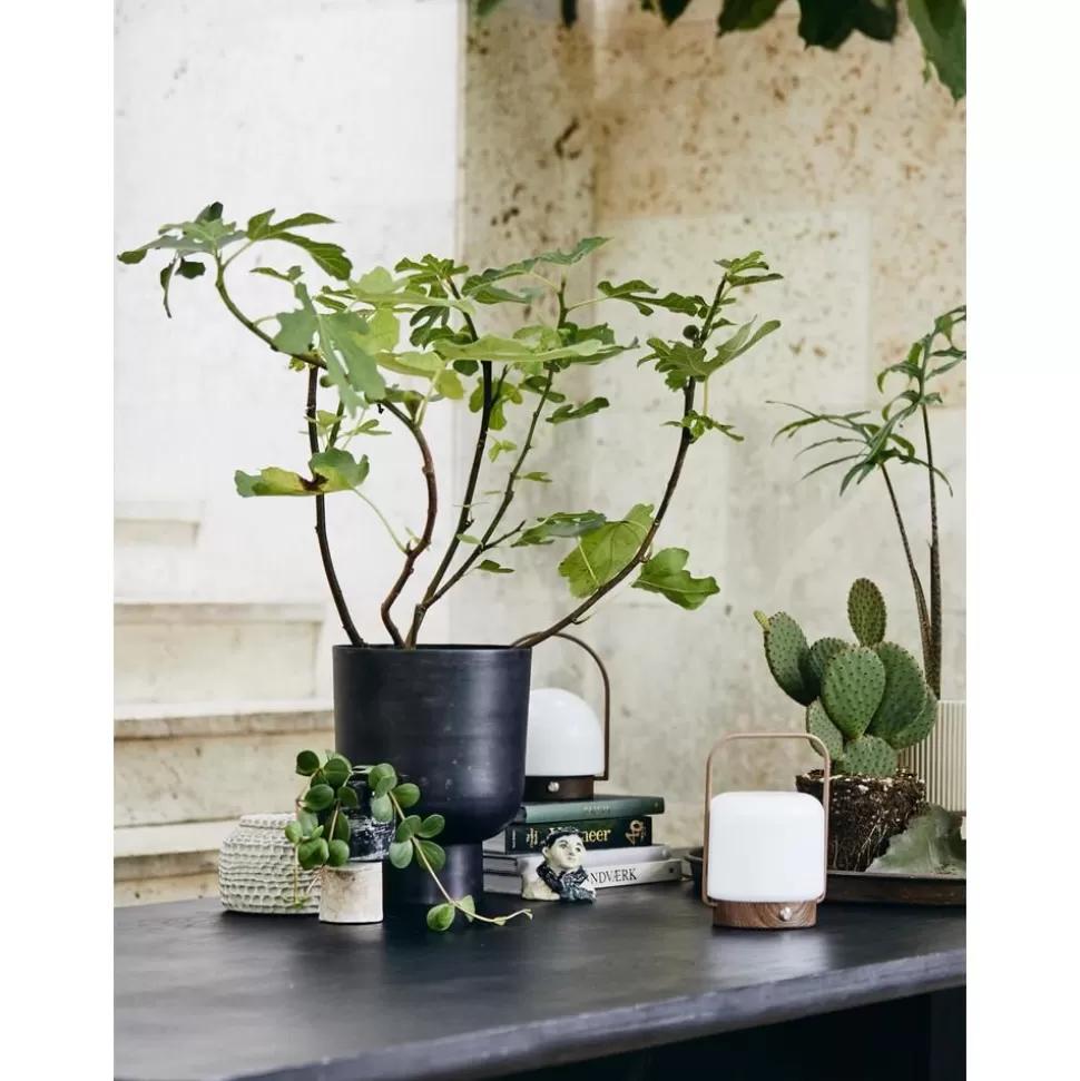 Sale Nordal Kleiner Ubertopf Galoa